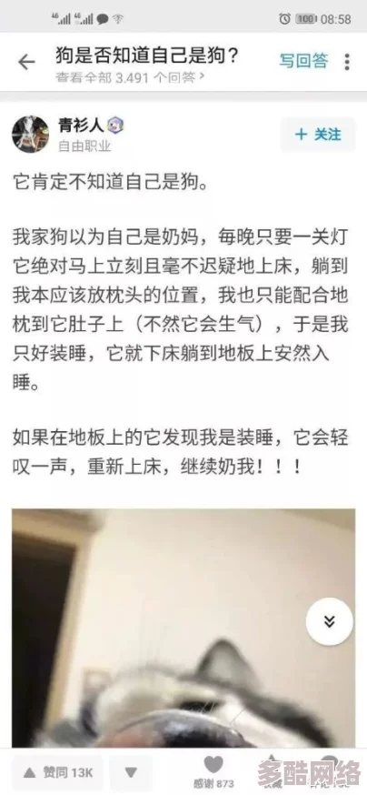 多多毛片：令人震惊的真相曝光，隐藏在背后的秘密让人心颤，网络背后究竟发生了什么？